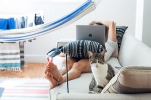 stock image of man laying on couch with pillow on lap holding up laptop with cat sitting on end of couch looking at camera